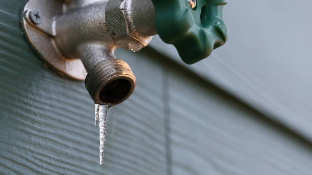 Best Commercial Plumbing Services  in Collins, MS